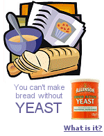 It was not until the invention of the microscope that yeast was identified as a living organism, the agent responsible for alcoholic fermentation and dough leavening. 